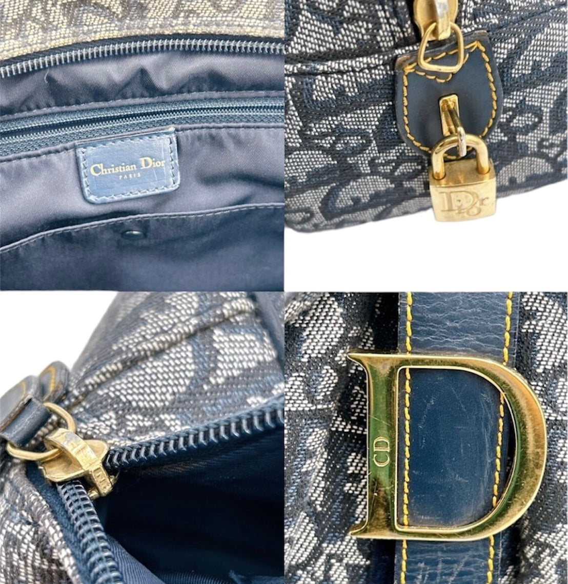 Dior Saddle